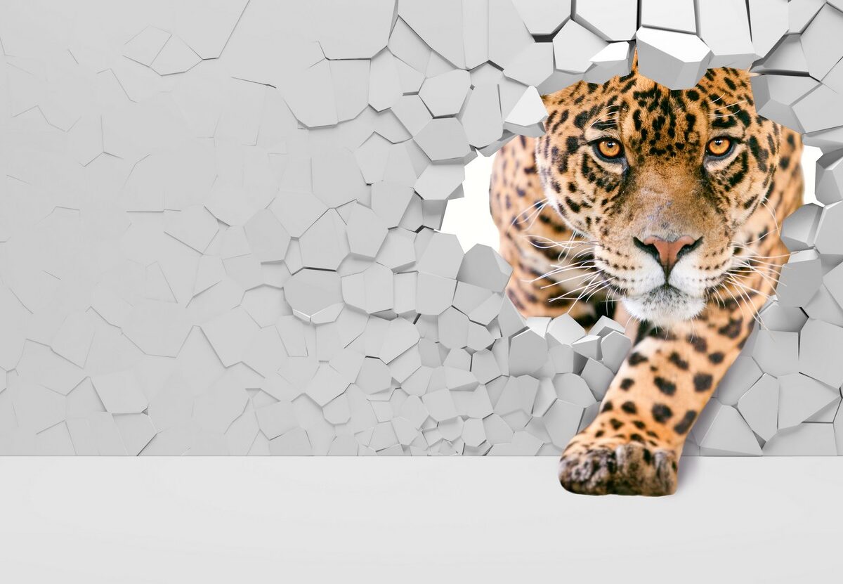 3D Фотообои Хищник