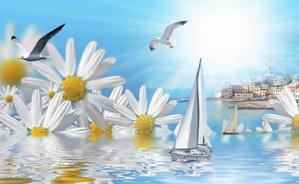 3D Фотообои Ромашки