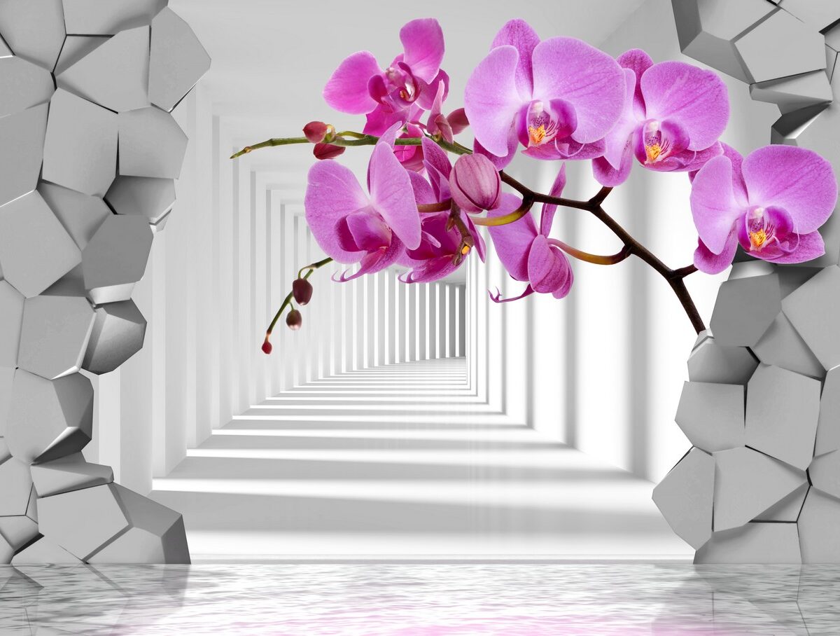 3D Фотообои Орхидея в лабиринте