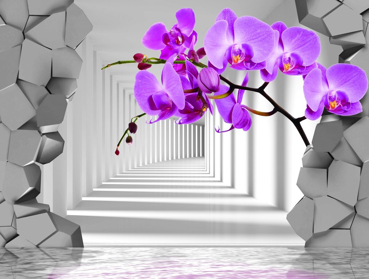 3D Фотообои Яркая орхидея
